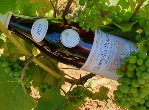 Domaine Daniel Largeot - Chorey-Lès-Beaune Lieu-dit "Les Beaumonts" 2018