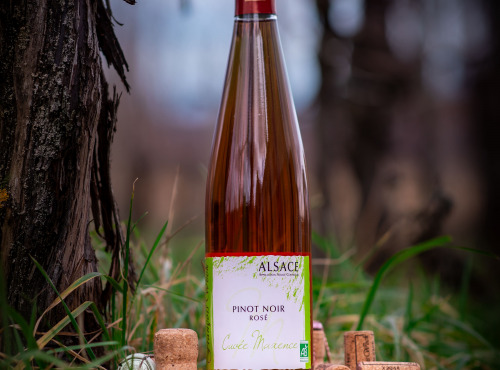 Domaine François WECK et fils - Pinot Noir Rosé Cuvée Maxence 2023 - 75 cl