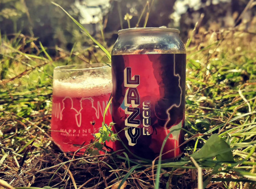 Mappiness - Bière Lazy Sour x24