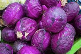 Nature et Saveurs - Ferme Aquaponique et Permacole Astérienne - Chou cabus rouge – La couleur vive au cœur de l’assiette