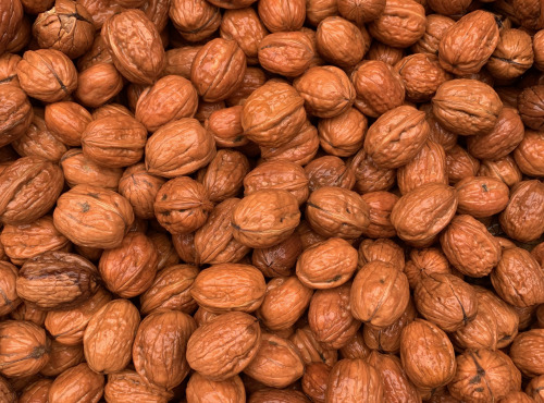 Des 2 Puys - Noix fraîches 2kg