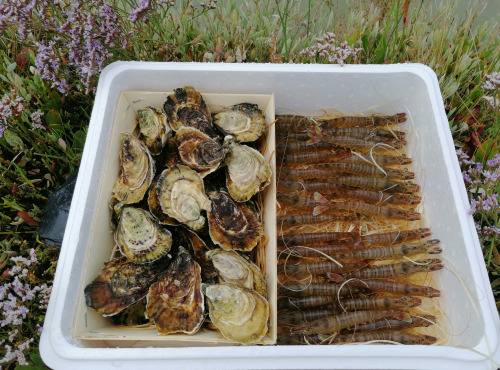 Gambas Impériales de France - Petit Panier de la Mer - Gambas et Huîtres