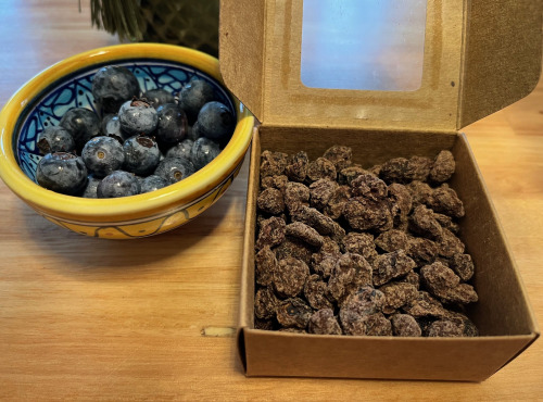 Myrtilles du Trimoulet - Myrtilles séchées enrobées au Chocolat Noir 69%