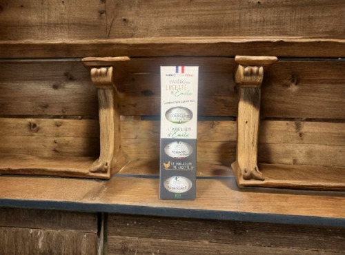 L'Atelier d'Emile - Lot de 3 bocaux au choix : kit apéro