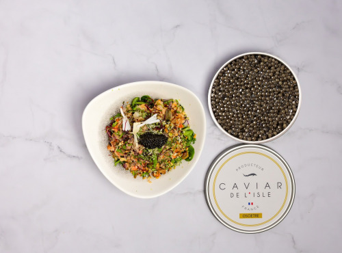 Caviar de l'Isle - Caviar Osciètre Français 500g - Caviar de l'Isle
