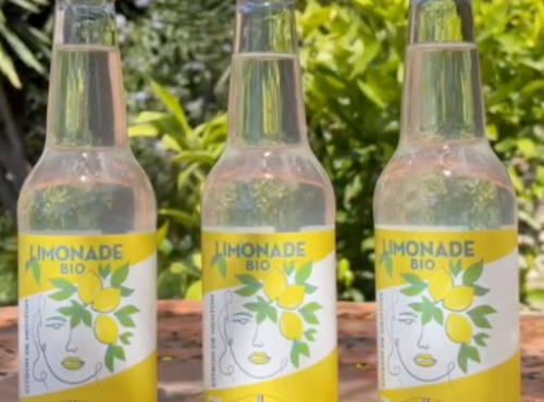 Maison Gannac - Limonades Bio au Citron de Menton x 3