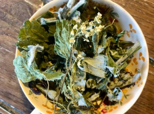 La Cabane à plantes - Infusion Nouveau départ