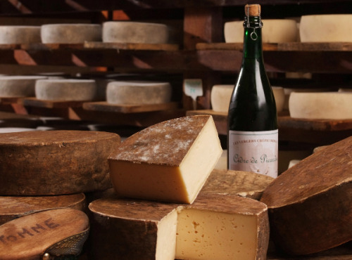 Fromagerie de la Chapelle Saint Jean - Tomme Au Cidre entière