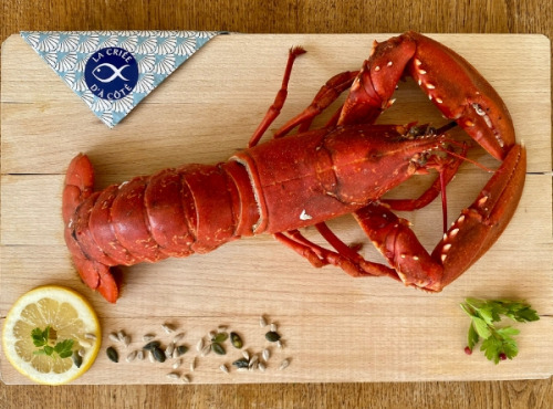 La Criée d'à Côté - Homard Bleu Cuit - 1,1 Kg