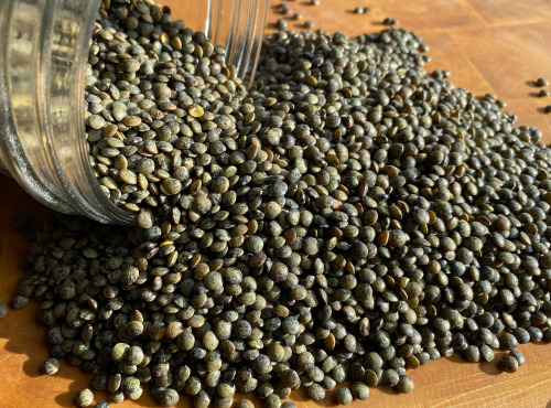 La Ferme du Joyeux Laboureur - Lentilles vertes en vrac 1kg