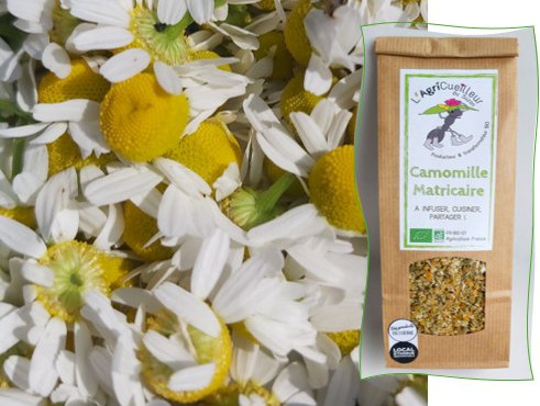 L'Agricueilleur du Suzon - Camomille BIO