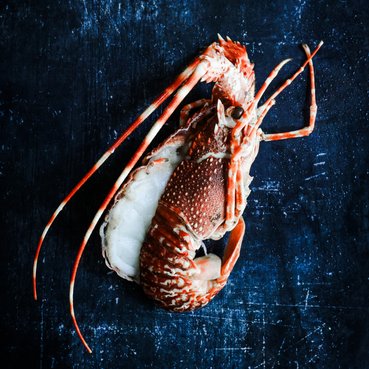 La Maison du Homard - Pack : 10 langoustes cuites coupées en deux (9 + 1 offerte)