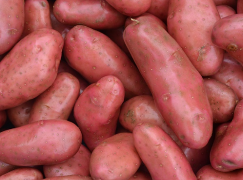 Le Châtaignier - Pommes De Terre Chérie - 6kg