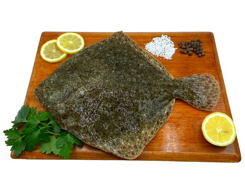 Luximer - Turbot Sauvage - Pièce De 1.2kg