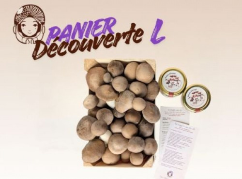 Les Myconautes - Panier Myconautes champignons bio - Taille L