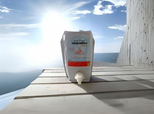 Les Jus Bio De L'Attirail - [Précommande] Jus de Gingembre Curcuma BIO 1.5l