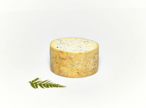 Fromage Gourmet - Fourme de Montbrison AOP 1/2 - 1,200kg