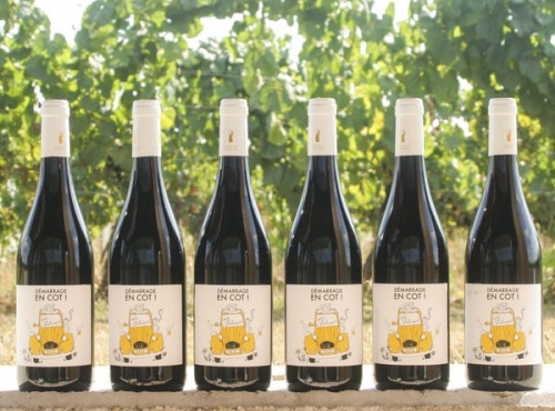 Domaine la Paganie - Vin rouge nature – Démarrage en COT– 6 bouteilles