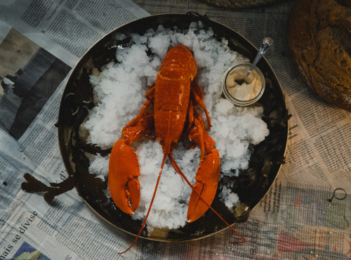 Thalassa Tradition - Homard Cuit Normandie - 900 g