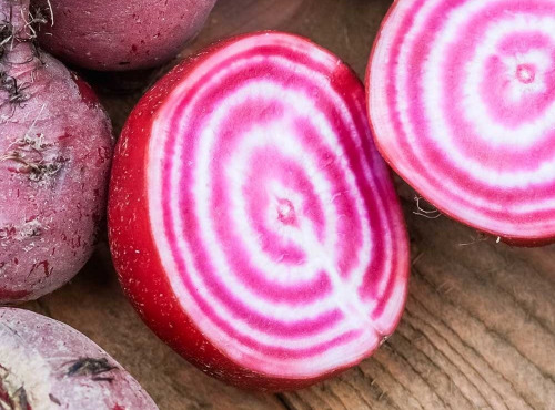 Nature et Saveurs - Ferme Aquaponique et Permacole Astérienne - Betterave Chioggia – Sans fanes