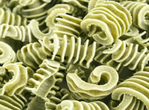 L'Atelier à Pâtes - Pâtes Radiatore Nature Sèches À L'ail Des Ours