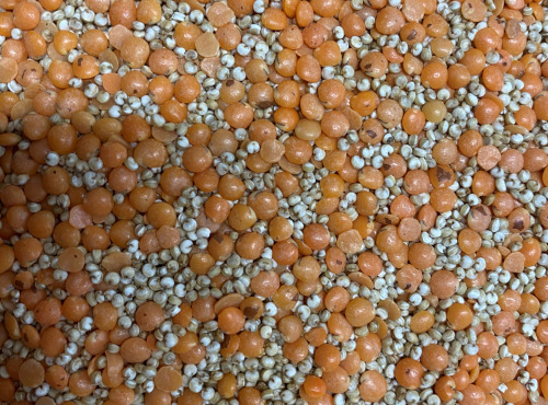 BERRY GRAINES - Mélange quinoa/lentilles corail origine France - sac 5kg x1