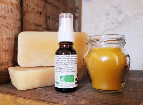 Les Butineuses de Champigny - Teinture Mère de Propolis Bio