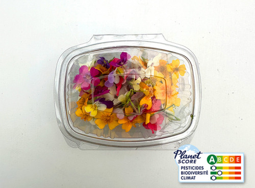 Les Nouvelles Fermes - Mix de fleurs comestibles (boite de 40 fleurs)