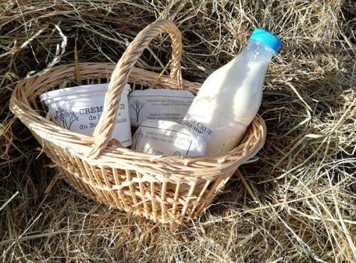 La Ferme du Bois des Saules - Lot 1 - Découverte - crème épaisse, liquide et beurres