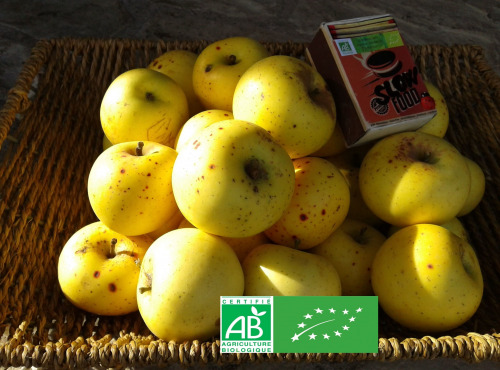 LES JARDINS DE KARINE - POMME "bonne à tout" Reinette du Mans - 10kg