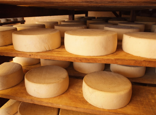 Fromagerie de la Chapelle Saint Jean - La Tomme Fraîche