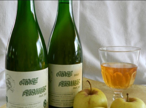 Ferme Joos - Cidre fermier demi-sec BIO 75 cl