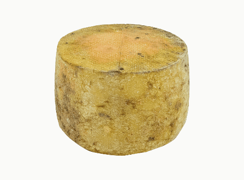 Maison Agour - Tommette de vache