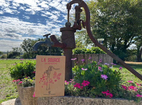 Domaine du Buisson - Bib fontaine à vin de 5L - Rosé - Vin de France