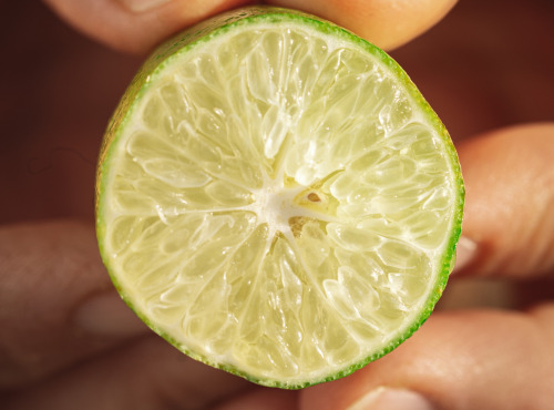 Maison Gannac - Citron Caviar/Faustrime - 100gr