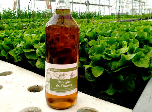 Nature et Saveurs - Ferme Aquaponique et Permacole Astérienne - Jus de pomme d'exception – pressé sur pressoir en bois