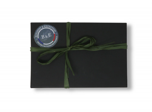 Botanist & Exception - COFFRET MADE IN BRETAGNE