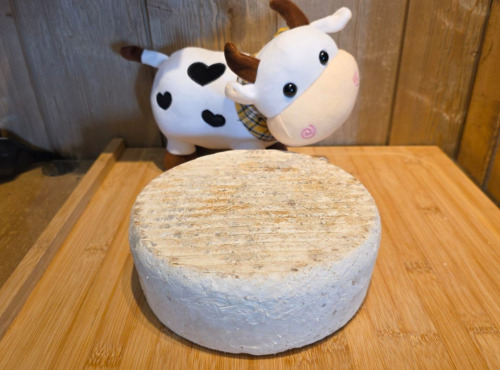 Fromagerie du Pichet - La Tomme Fenugrec 1,8kg