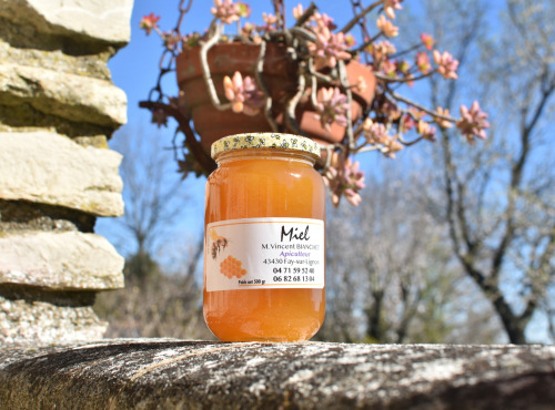 La Truite du Mézenc - Miel de Tilleul- 500g