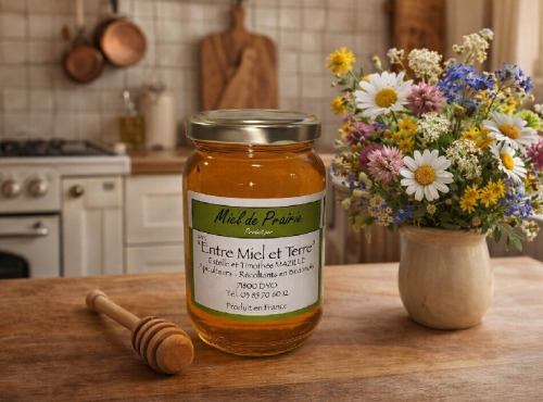 La Maison du Charolais - Miel de prairie Entre Miel et Terre  500g