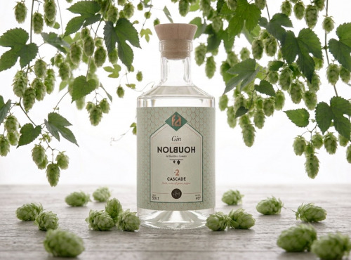 La Fabrique à Alcools / Distillerie Chevreuse - Gin Nolbuoh Cascade Bio  - 50cl