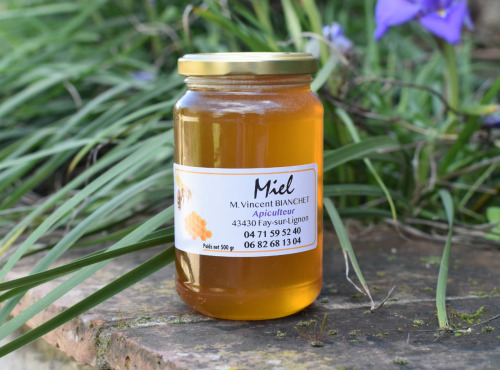 La Truite du Mézenc - Miel de Lavande liquide - 500g