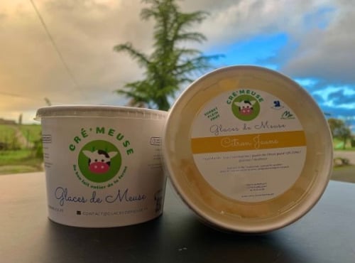 Glaces de Meuse - Sorbet Plein Fruit Citron Jaune 360g