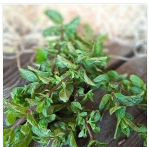 Les Jardins de Gérard - Menthe verte BIO 16kg