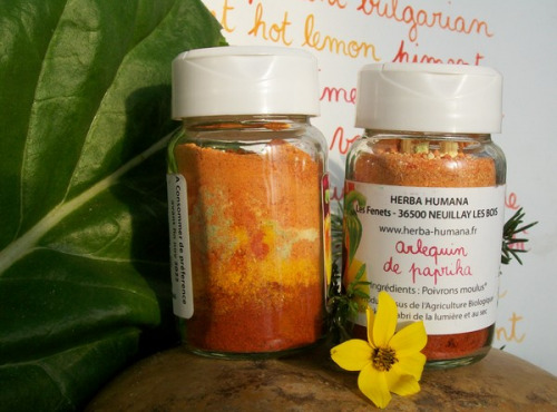 HERBA HUMANA - Arlequin De Paprika Cultivé en France 35g