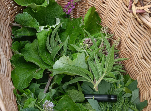 Rébecca les Jolies Fleurs - Salade royale