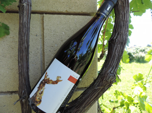 Domaine des Bourrats - Saint Pourçain AOC Rouge Tradition
