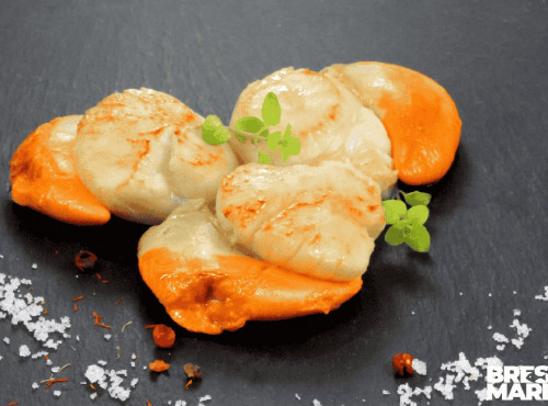 Brest Marée - Noix de Saint Jacques de la Rade de Brest - 400g