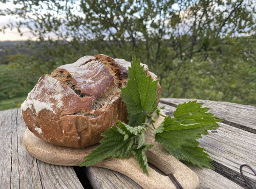 Ferme Sinsac - Pain de printemps à l'ail des ours et aux orties