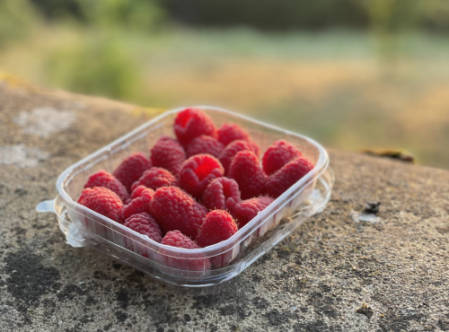 Les Asperges et Framboises du Soissonnais - Framboises 500gr